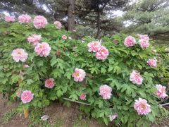 -国家植物园南园