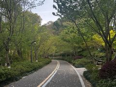 -杭州半山国家森林公园