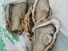 -新鸿港水果市场