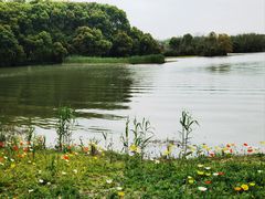 -沙家浜风景区