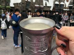 -哈利波特魔法世界