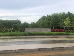 -大望京公园