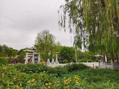 -张掖大佛寺景区