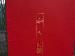 -荷风细雨·中国茶宴(碧云店)