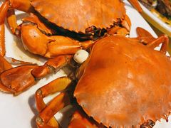 清蒸大閘蟹-老字号蛇口德记烧腊饭店·海鲜加工