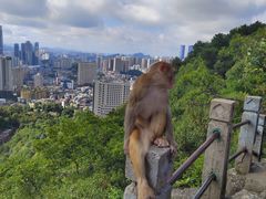 -黔灵山公园