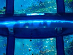 -海合安武汉极地海洋公园