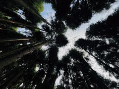 -太阳湾风景区