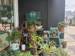 -FEI FEI FLOWER鲜花店·气球派对·宝宝宴布置(虹口德必运动Loft店)