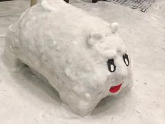 -哈尔滨热雪奇迹