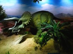 -国家自然博物馆