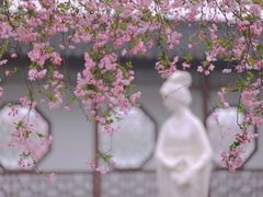 -莫愁湖公园