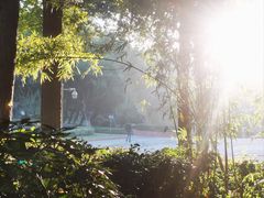 -九龙潭景区