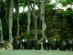 android_upload_pic-东方华地城湿地温泉度假区