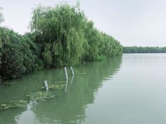 -长圻码头