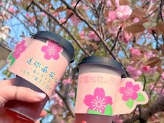 -高东镇樱花园