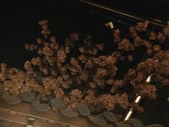 -淀里船宴(卓达店)