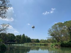 -西溪国家湿地公园