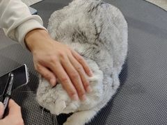 -宠物家(长阳店)