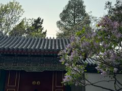 -颐和园