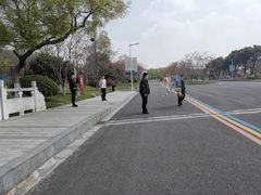 -羊山湖公园