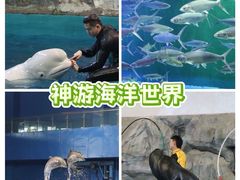 -威海华夏城景区