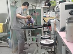 -达爱动物医院·犬猫分区·CT·复杂眼科(远洋山水分院)