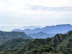 -大岭沟猕猴桃谷风景区
