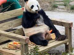 -南山竹海·珍味堂