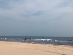 -日照海滨国家森林公园