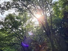 -泸州老窖景区