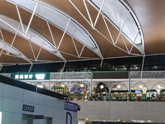 -清真餐厅·回乡麦客