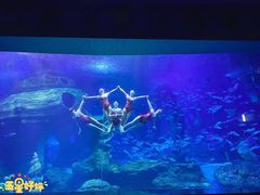 景点-多彩贵州城极地海洋世界