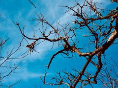 -终南山南五台景区