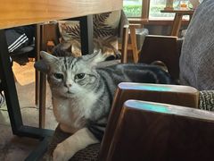 -咖法森林·咖啡  酒吧(天河店)