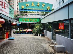 -曲阳花鸟市场(曲阳路店)