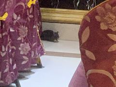 -茂港柏香(侨港路店)