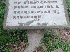 -上海佘山国家森林公园天马山园