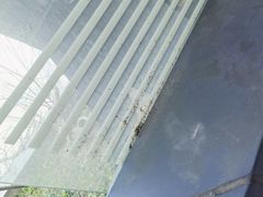 -上海滴水湖皇冠假日酒店
