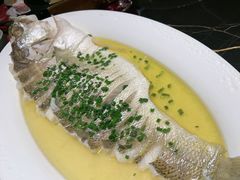 -沈灶河豚宴·河豚融合餐厅(汉中路店)