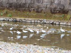 景观位-诸暨市岭北镇仕新农庄