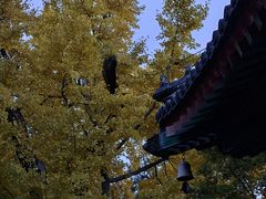 -香山公园-东宫门售票处