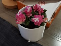 -广州中国大酒店