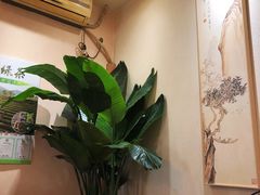 -畅和茶坊·曦瓜中国大红袍