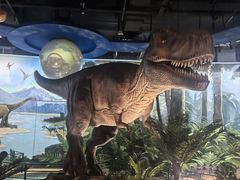 -陕西自然博物馆