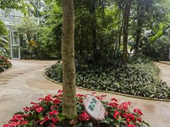 -南山植物园