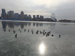 -海河外滩公园