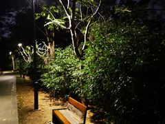 -牛岗山公园