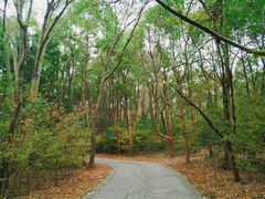 -紫霞湖公园