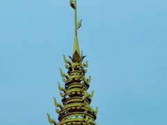 -曼听御花园
